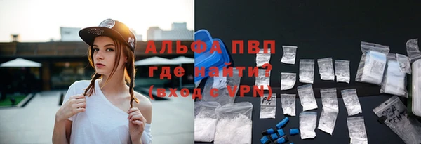 стафф Алексин