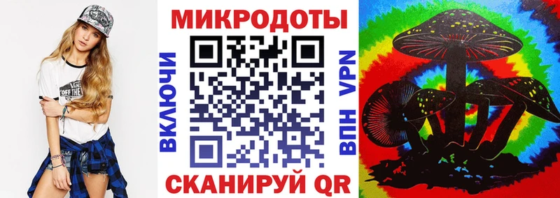 где продают Ставрополь Псилоцибиновые грибы MAGIC MUSHROOMS